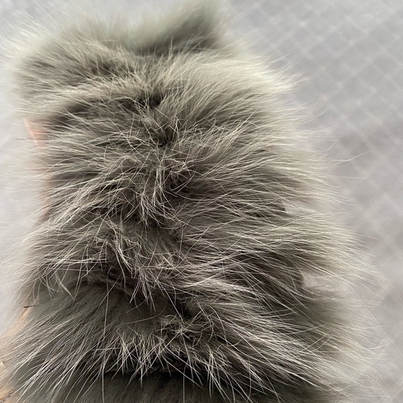 Silvian Hitch fur collar - Picture 3 of 3